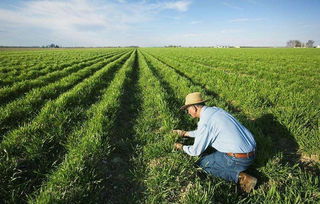 沒了中國市場，特朗普發(fā)放200億補貼資金，這次美農卻不買賬了