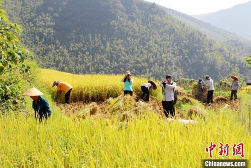 生態(tài)引擎激發(fā)產(chǎn)業(yè)活力 東安農(nóng)旅融合驅(qū)動畜產(chǎn)品貿(mào)易新篇