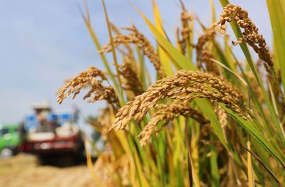 江蘇南通 財政金融協(xié)同支農，省內首創(chuàng)農擔貼息政策